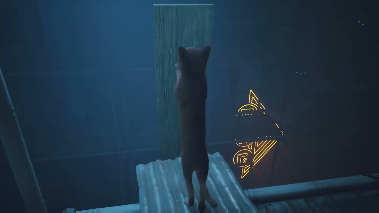 Stray Speedrun