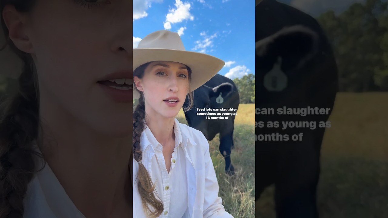 How long do you think it takes to raise a cow for beef? #beefcattle #beef #pastureraised