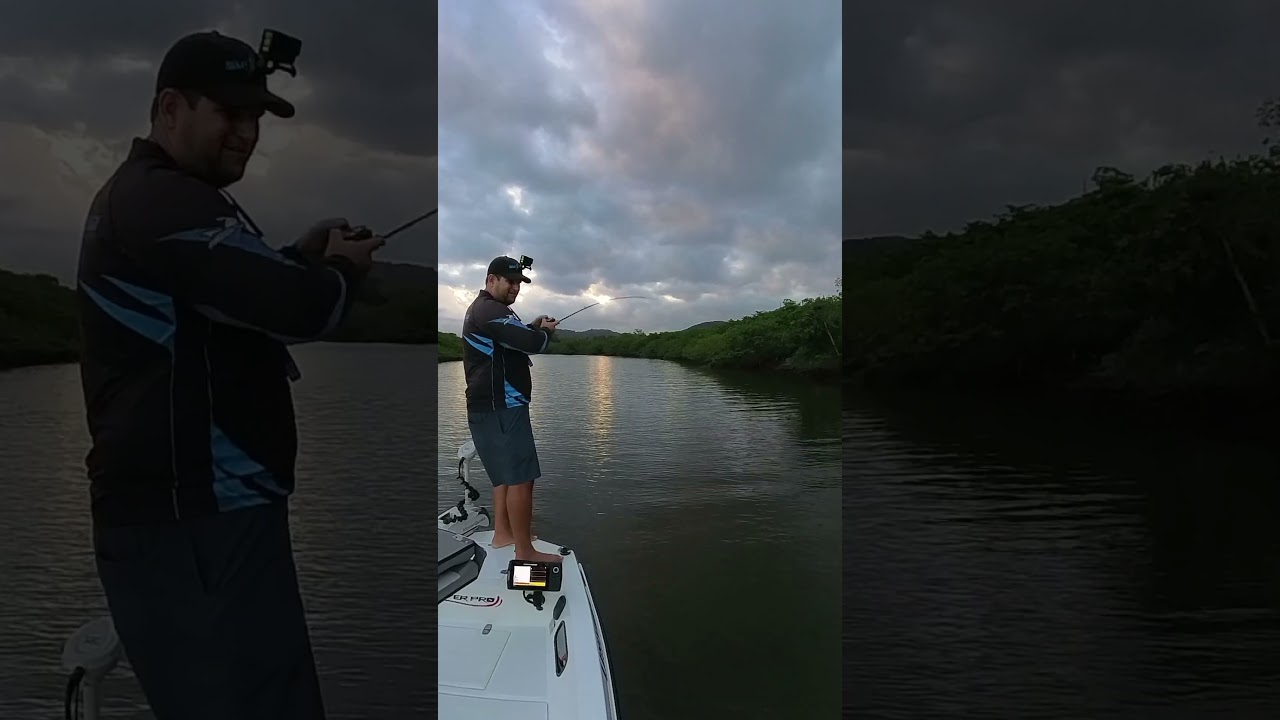 Peva snook on plug #artificialbait #snooklopeva #snook #manguefishing