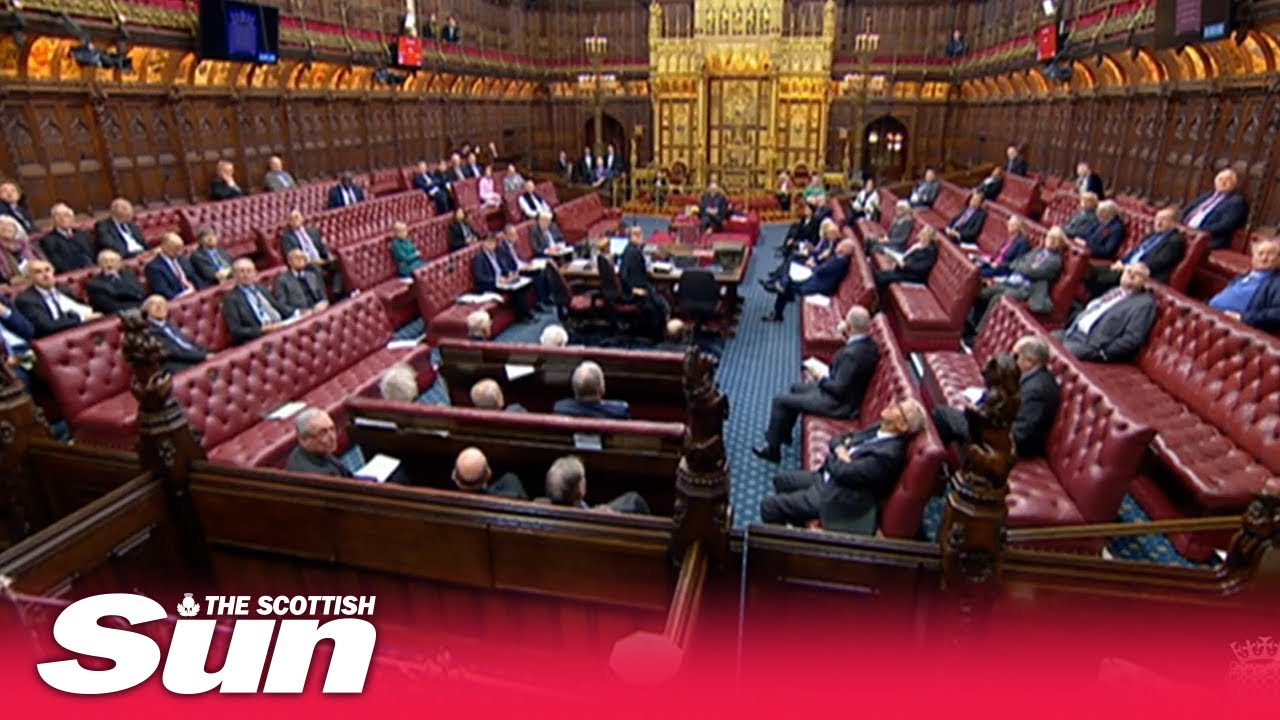 Protesters disrupt the House of Lords as they debate anti-protest laws