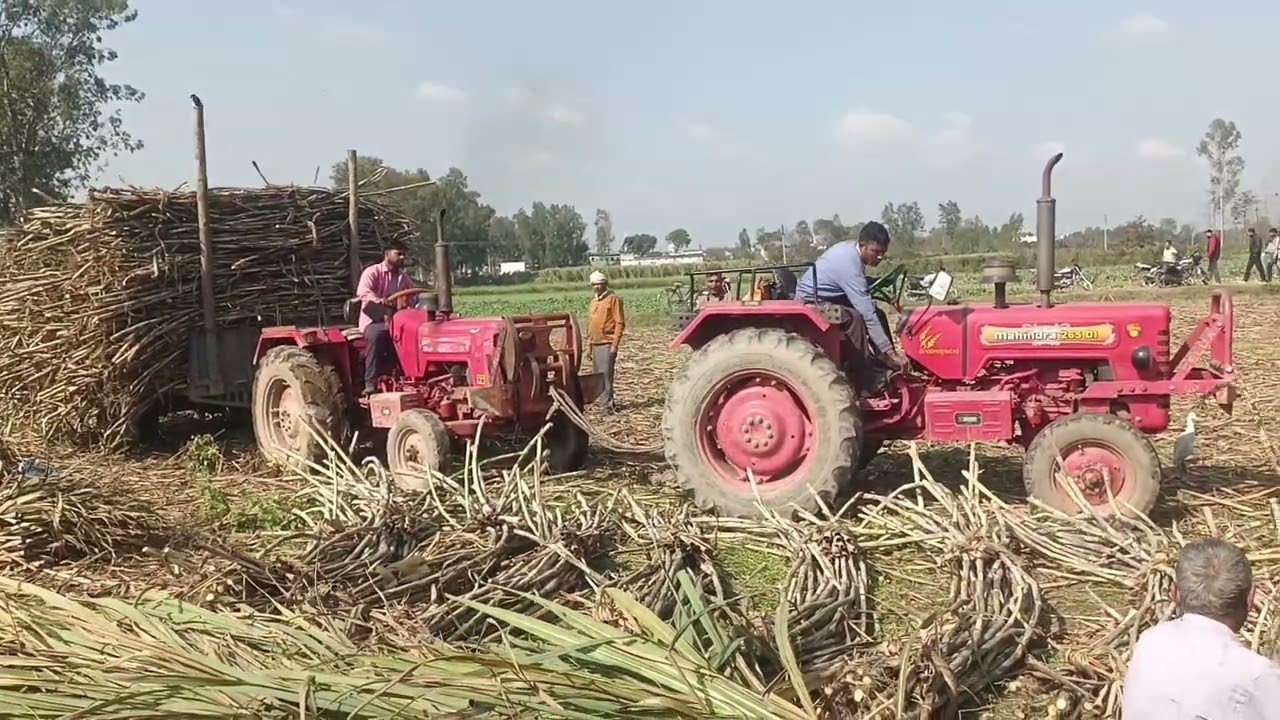 भाई आज तो महिंद्रा ट्रैक्टर घास गया 😂 #टोकन करके निकला #video #like 