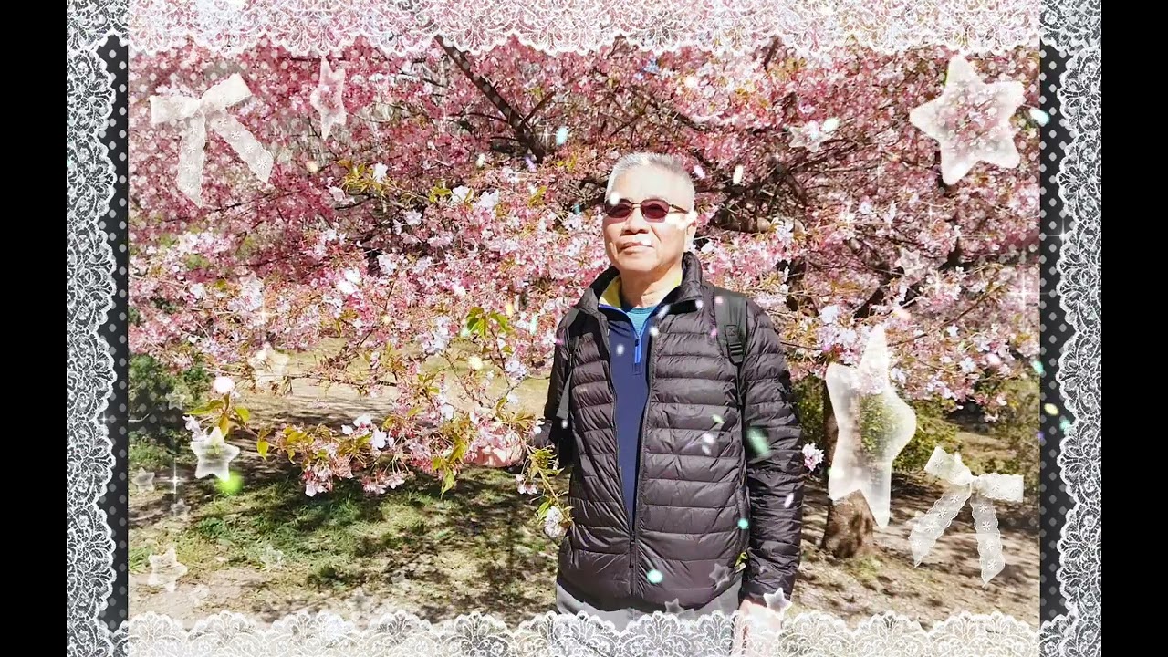 115.02.11武陵農場賞櫻之旅