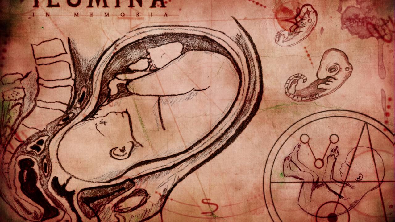 Ilumina - Transmutation