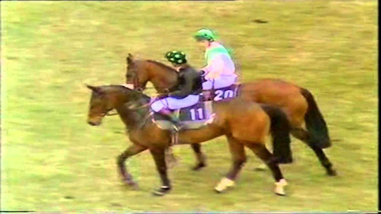 1986 Grand National Aintree West Tip