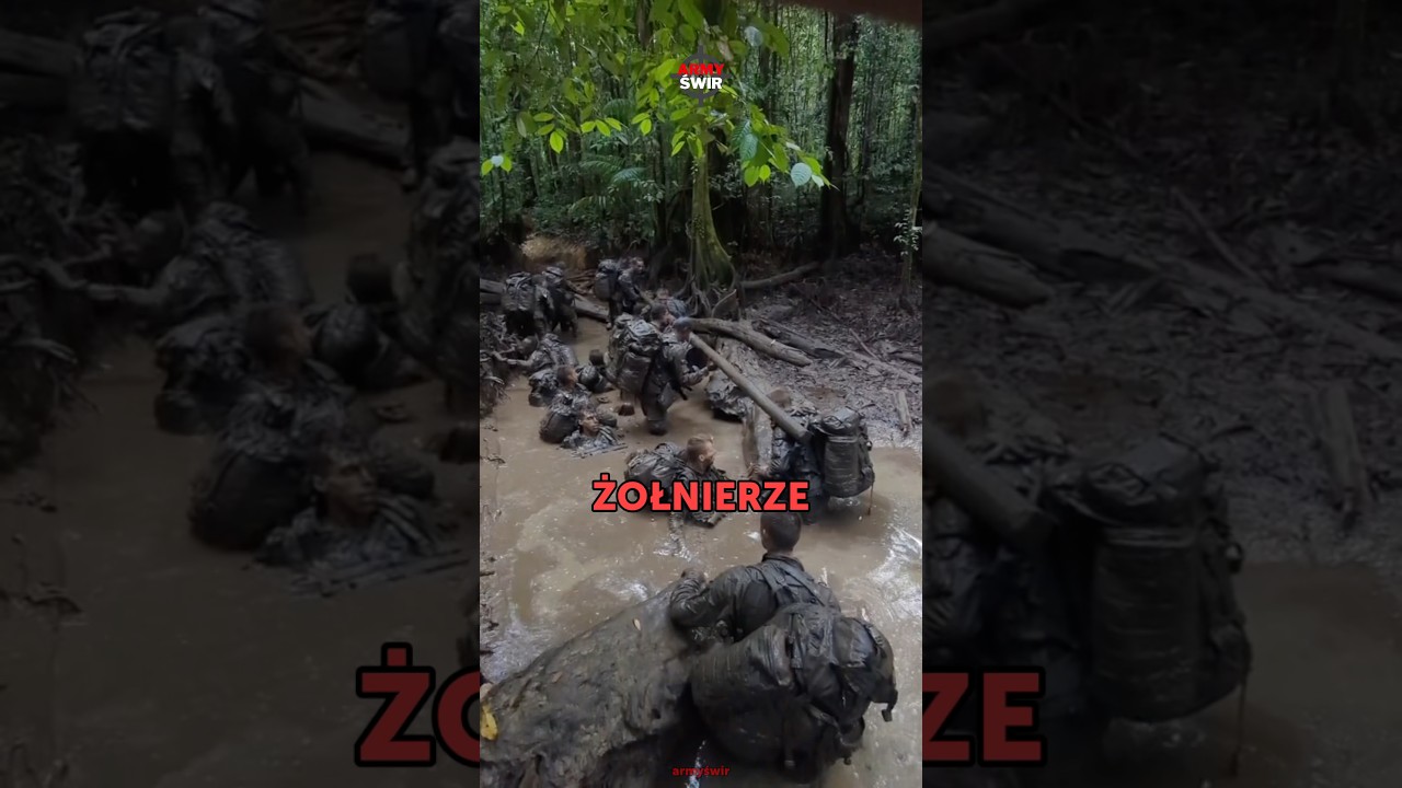 Dlaczego żołnierze NIE MOGĄ chodzić PO TRAWIE?