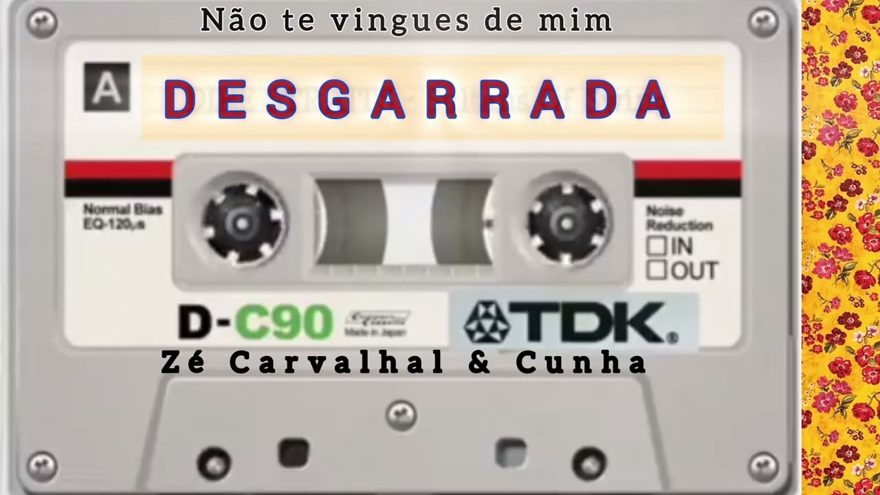 Desgarrada 💥Cunha de Vila Verde & Zé Carvalhal 🌶Não Te Vingues de Mim |Sensacional 