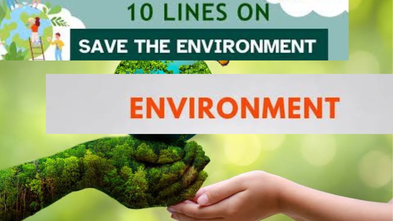 10 lines on Environment in english/Environment essay in english 10 lines/Essay on Environment