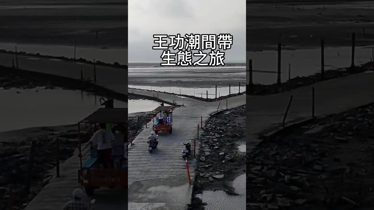 ✨️王功漁港潮間帶生態之旅✨️｜烤鮮蚵吃到飽每人只要$200｜鐵牛三輪車沙灘Off-road 很有趣｜潮間帶玩沙挖蛤蜊 摸蛤罵兼洗褲😅 #王功漁港 #彰化景點 #貓哥 #王功生態旅遊觀光採蚵車