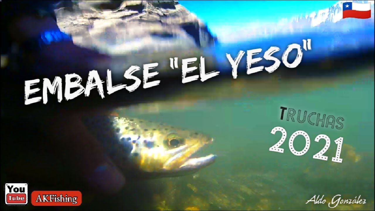 Pesca de truchas 
