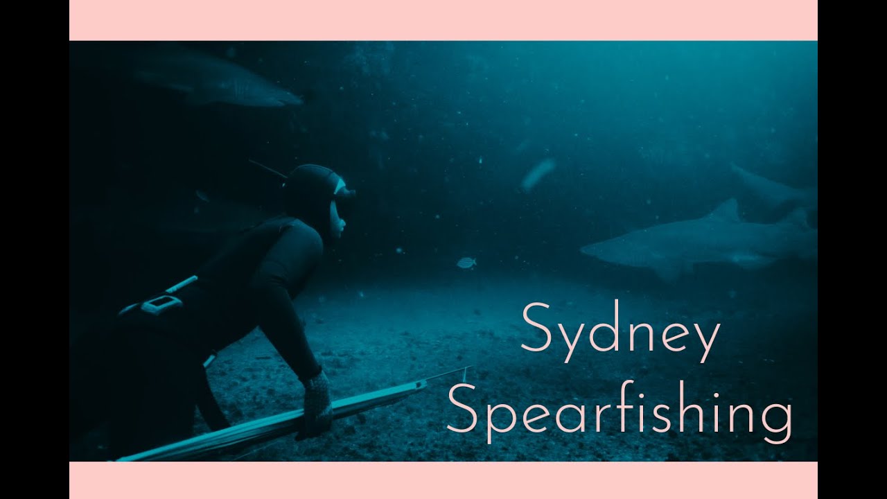 Sydney Spearfishing with Josh Ku & Justin Ewan 2023