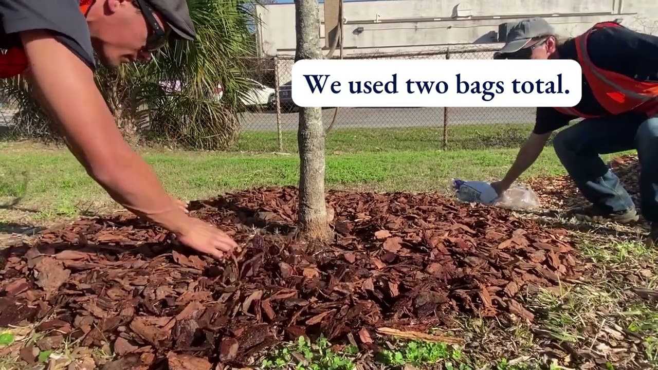 City Tree Maintenance Training Video