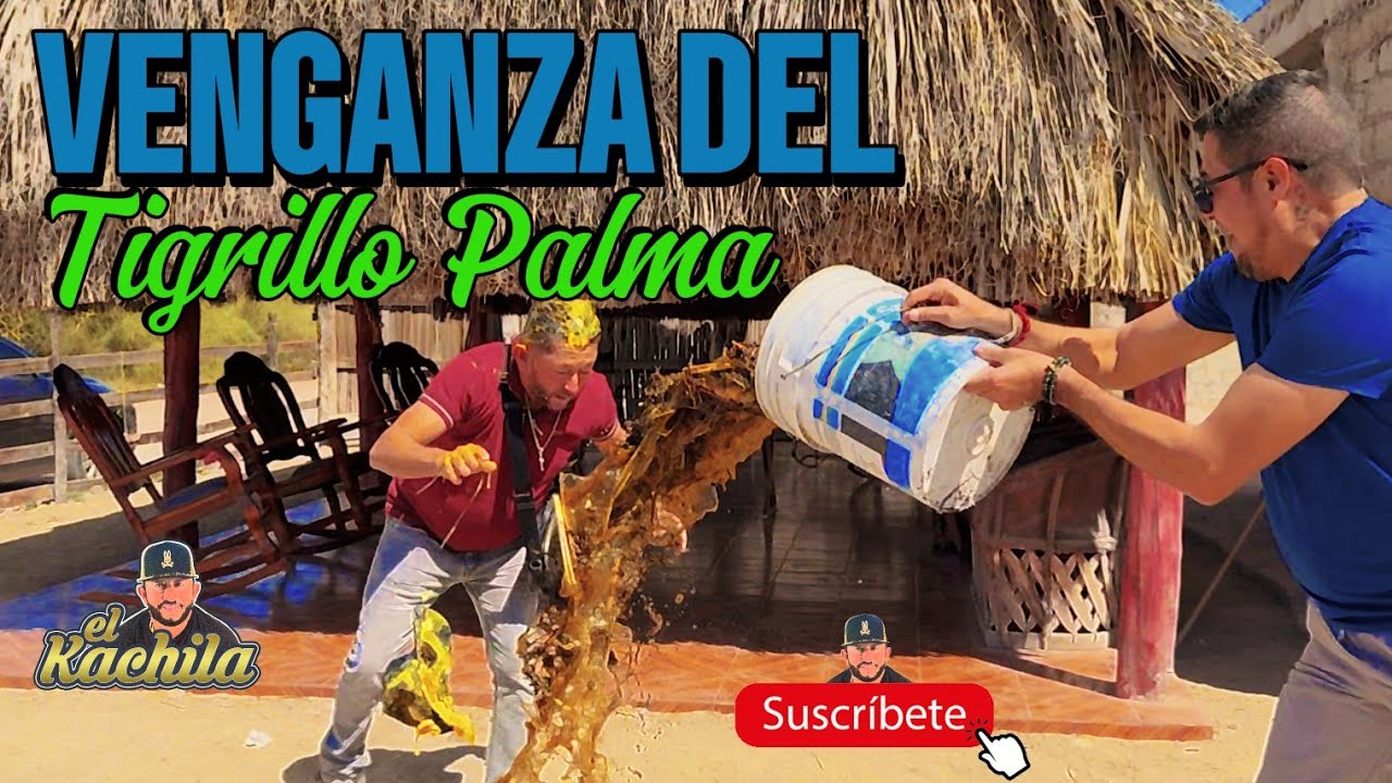 Fuimos todos por qué ami nomas me la aplico y con ellos se juntó