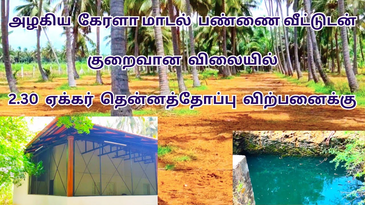 2.30 ஏக்கர் தென்னை அழகிய கேரளா மாடல் பண்ணை வீட்டுடன் குறைவான விலையில்  விற்பனைக்கு