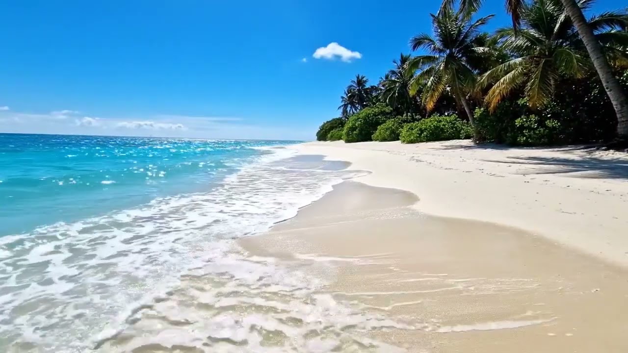 Tropical Escape ASMR – Walk the Sandbar in Your Mind 🏖️🧠