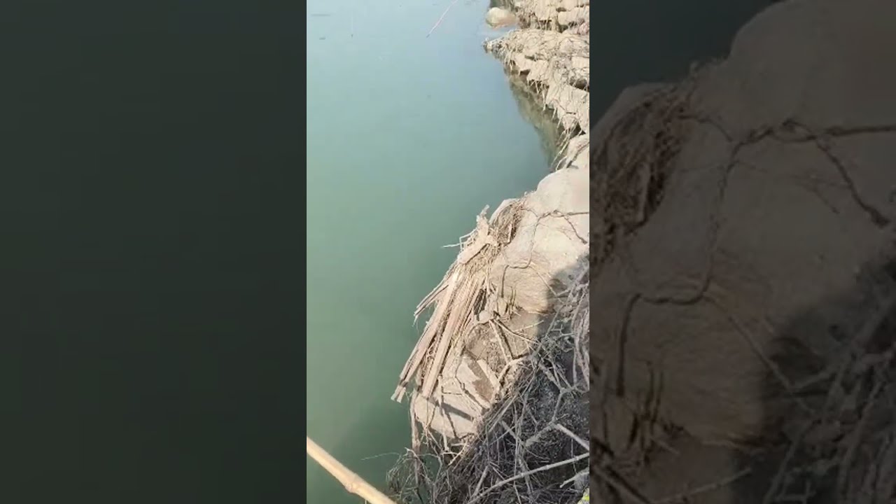 Anokhi duniya hai is live rod fishing in river