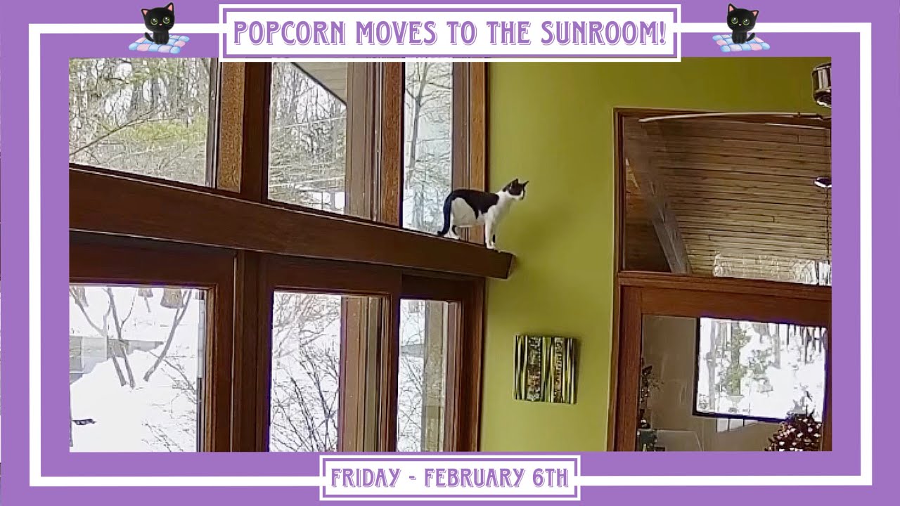 Popcorn Moves to the Sunroom! - Friday February 6th.
