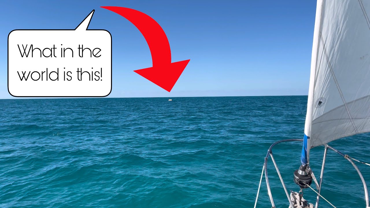 Expect the unexpected when sailing on the ocean