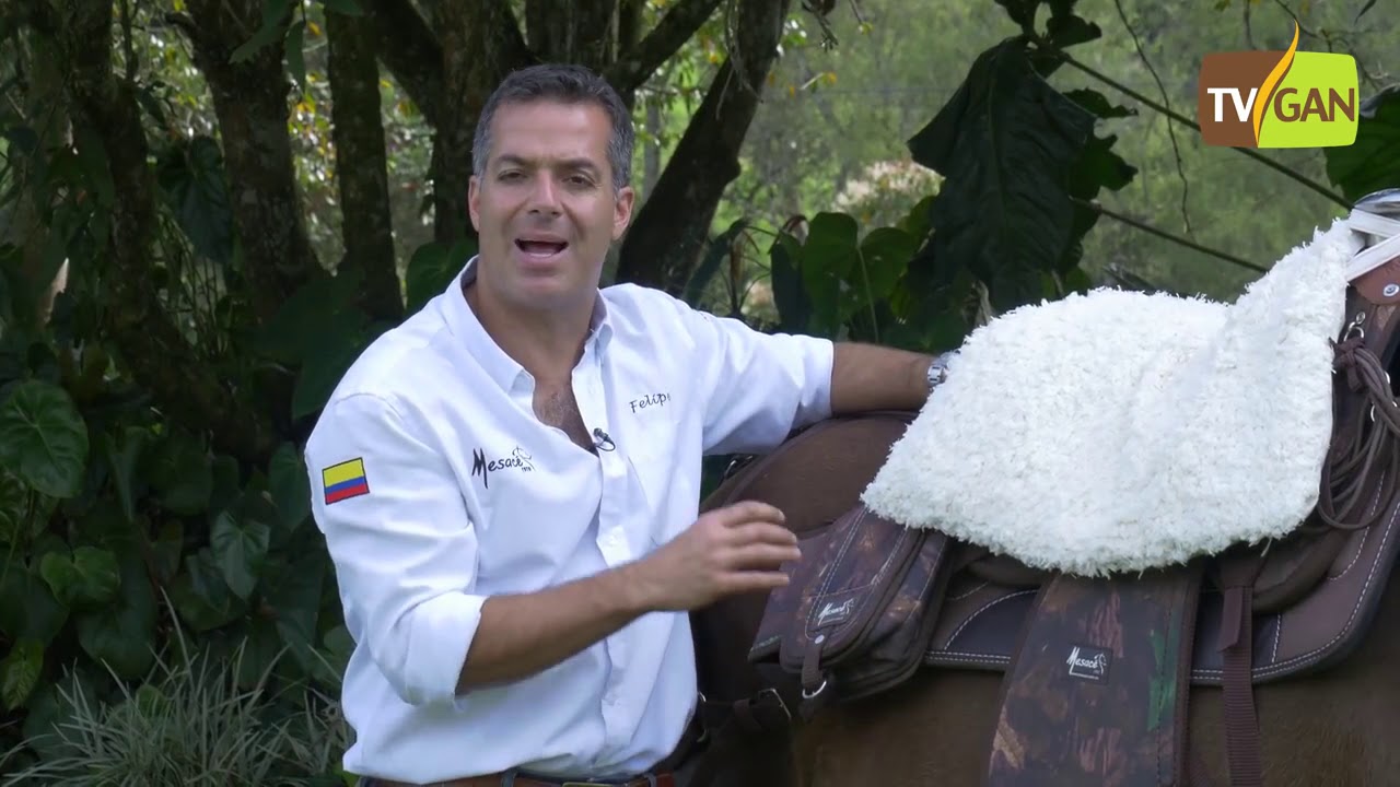 Accesorios para cualquier silla de montar a caballo fabricados por Mesace