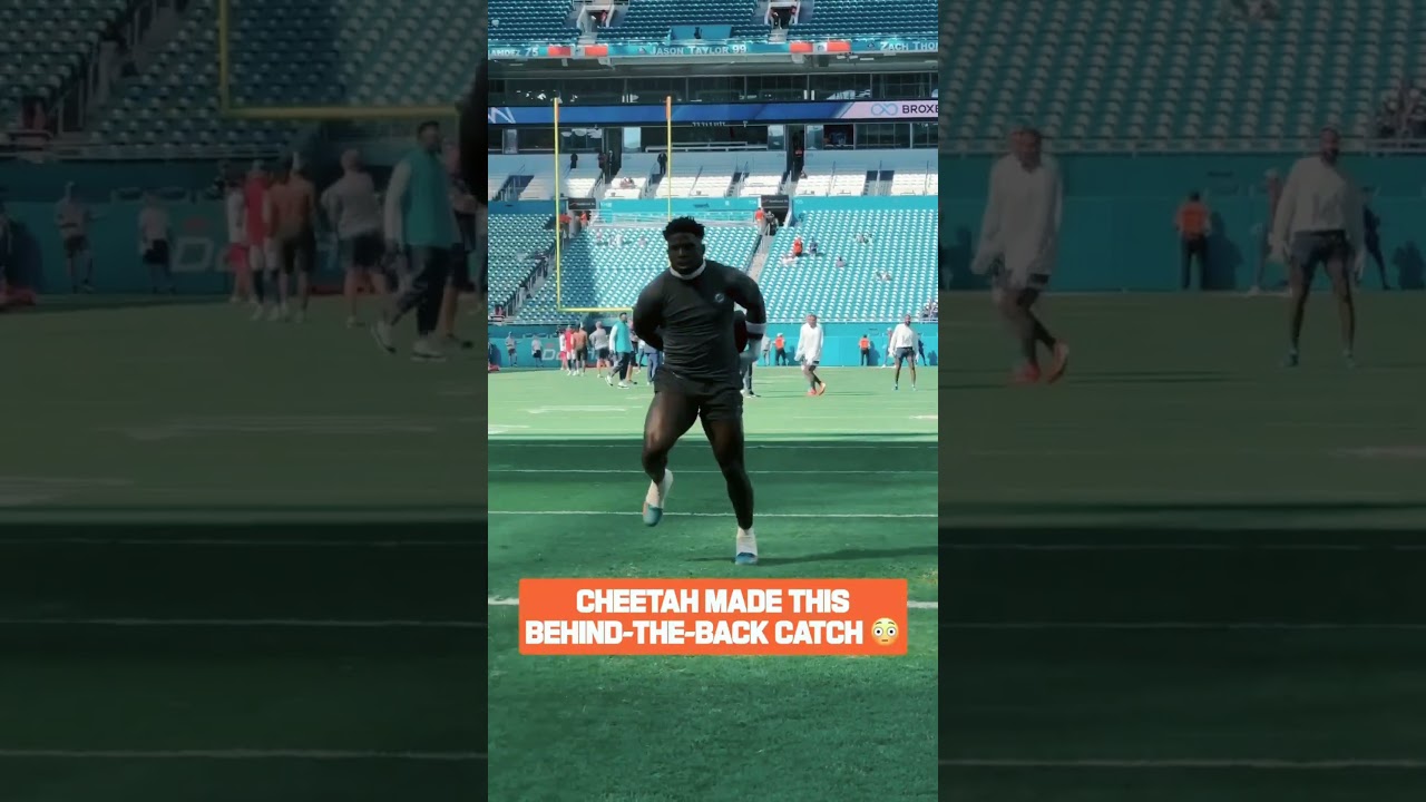 Cheetah Made this behind the back catch 