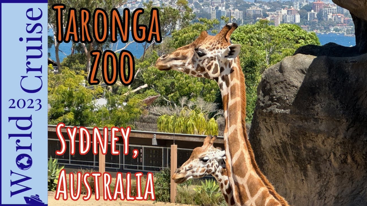 Taronga Zoo Sydney | Amazing Animals and Sydney Harbour Views!