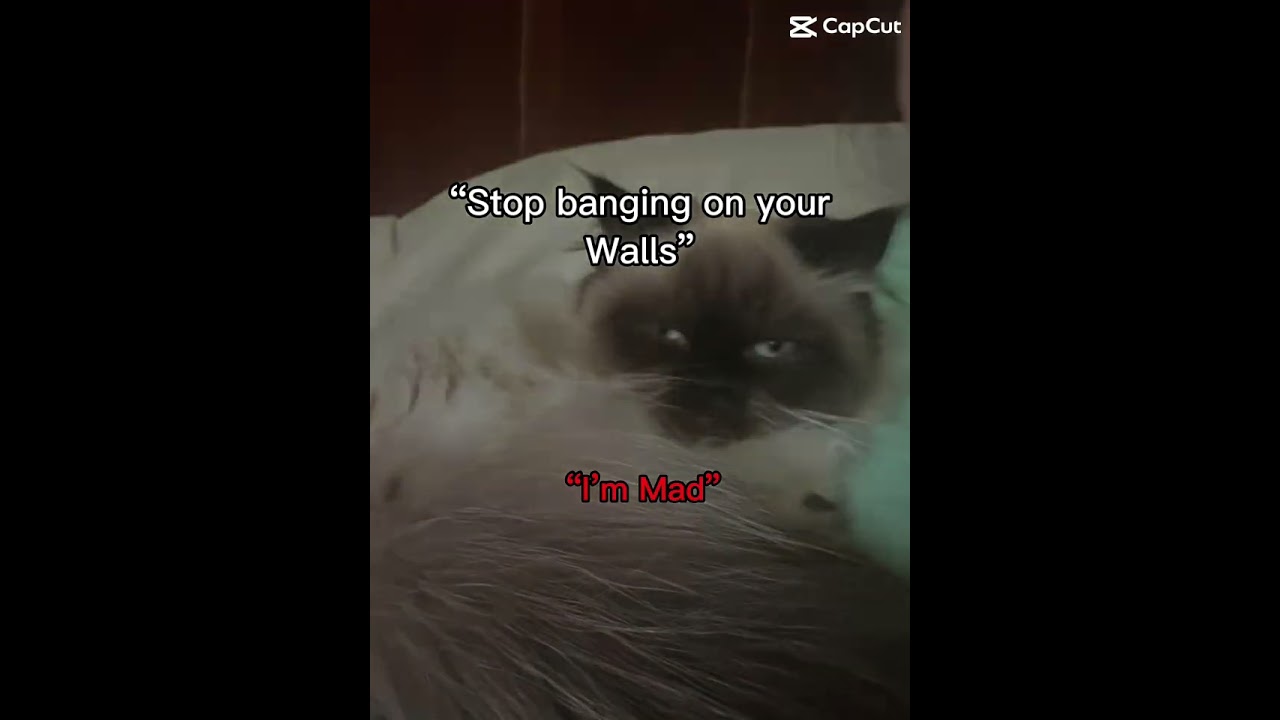 Anger issues are no joke TW {#vent #angerissues #mentalhealthmatters}