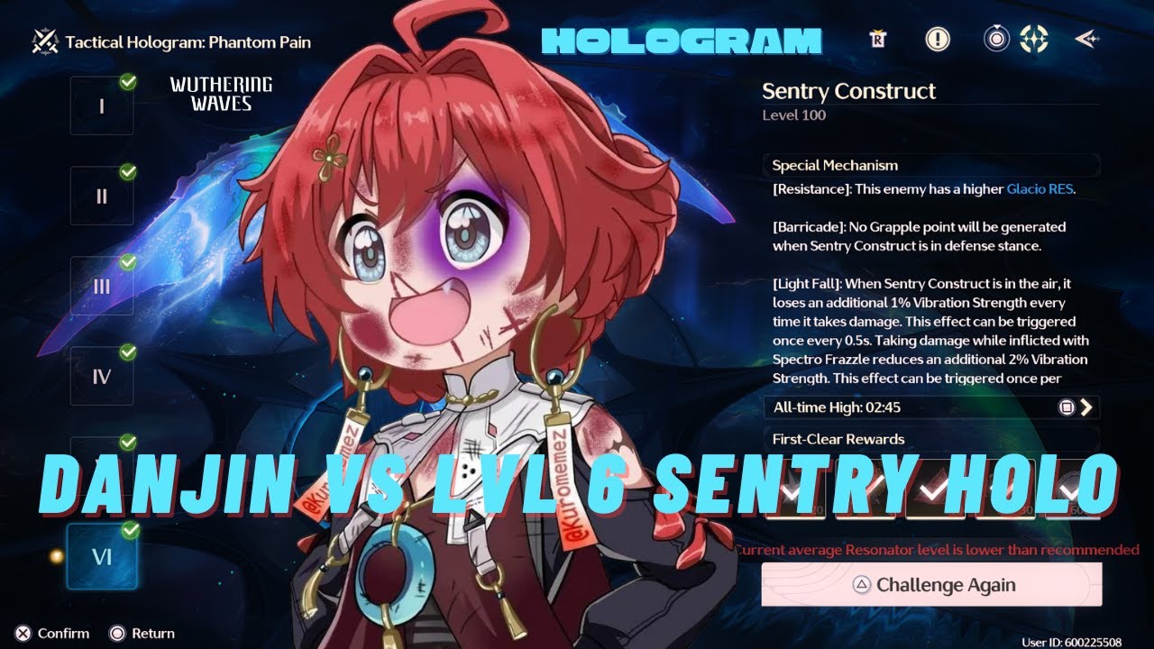 Danjin vs Level 6 Sentry Construct Hologram | Wuthering Waves