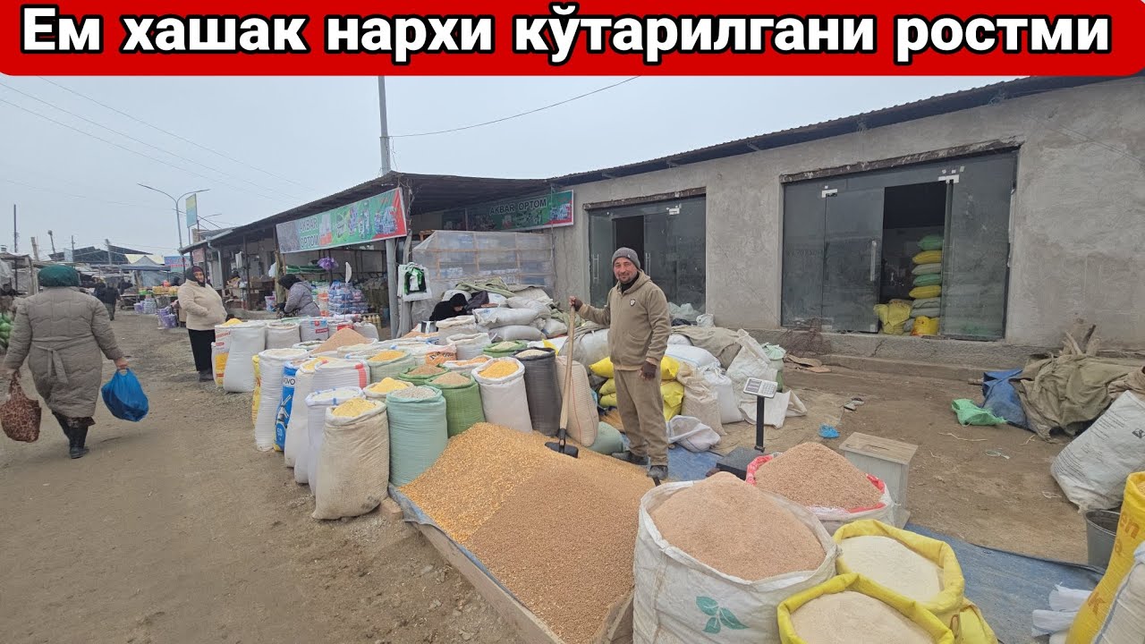 МОЛ ВА КЎЙ БОҚАДИГАНЛАР УЧУН  ЕМ ХАШАК НАРХИ КЎТАРИЛГАНИ РОСТМИ КЎРАМИЗ🤔#automobile #rek 