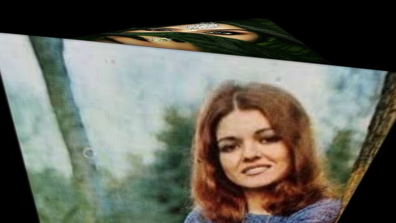 Gülden Karaböcek -Ela Gözlü Nazlı Yari-1970-