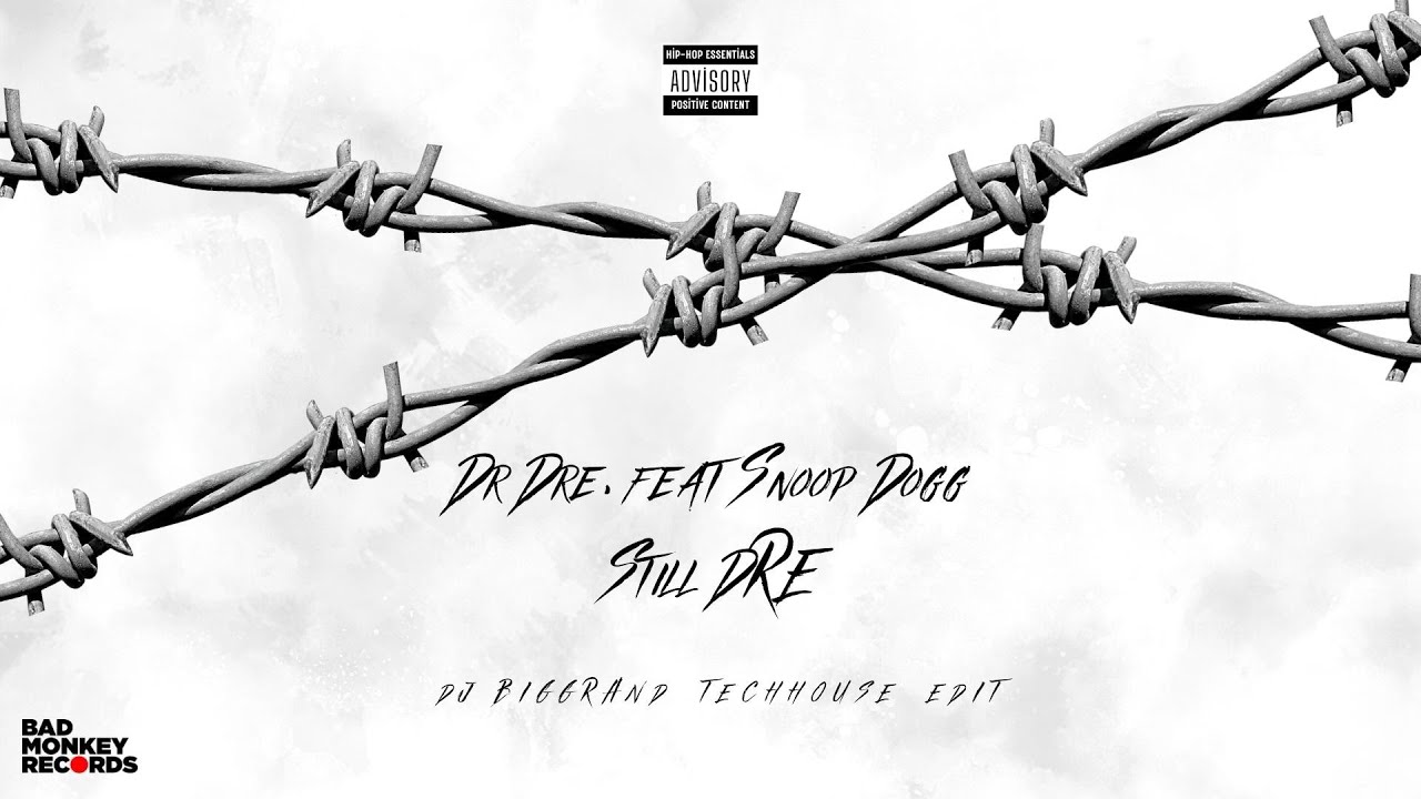DR DRE. FEAT SNOOP  DOGG - STILL DRE (DJ BigGrand TechHouse Edit) #drdre #snoopdogg #stilldre