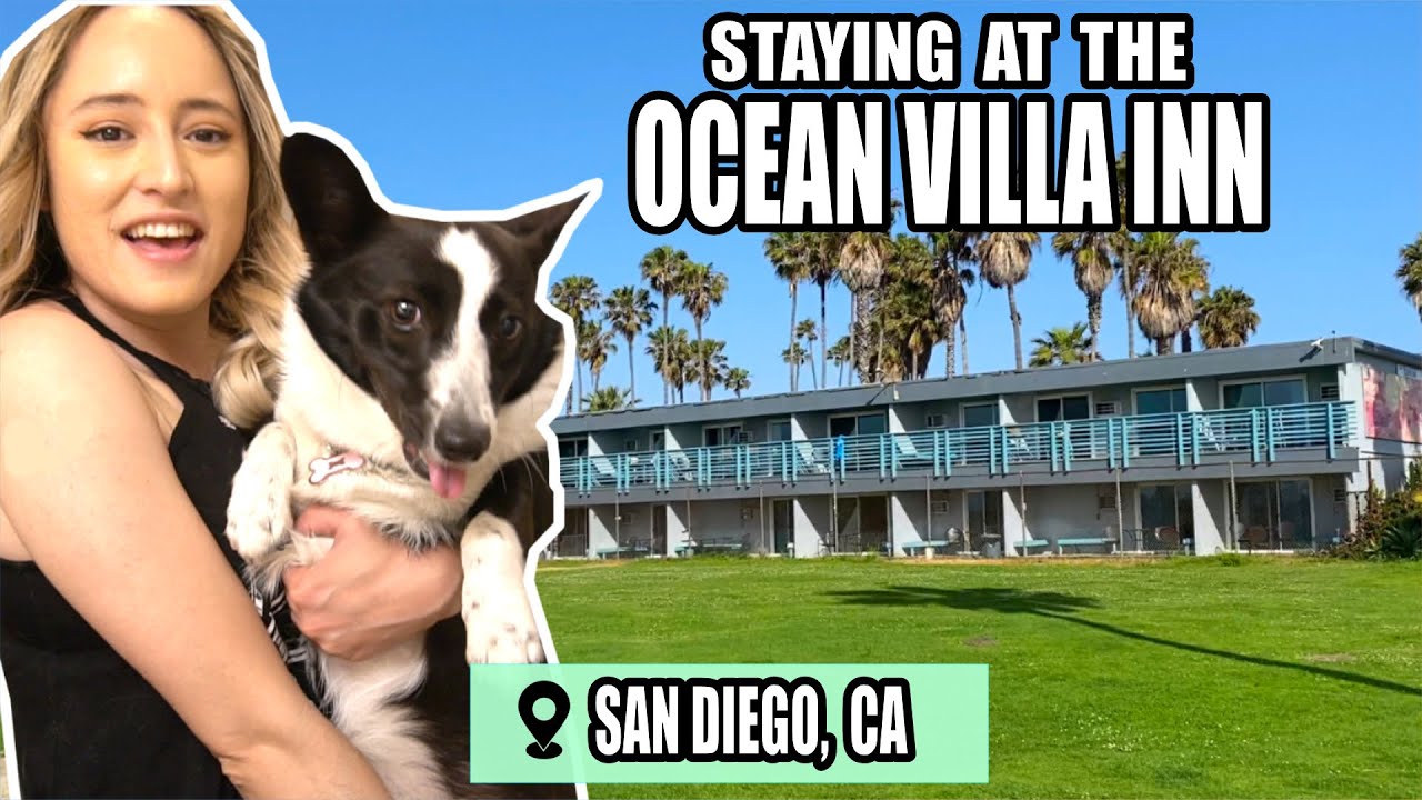 Staying at the Ocean Villa Inn || Pet Friendly San Diego Stay [Hotel + Room Tour]