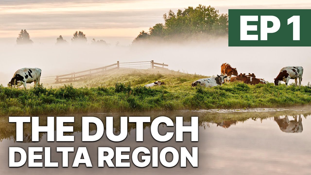 The Dutch Delta Region - EP 1 | Wildlife of Holland