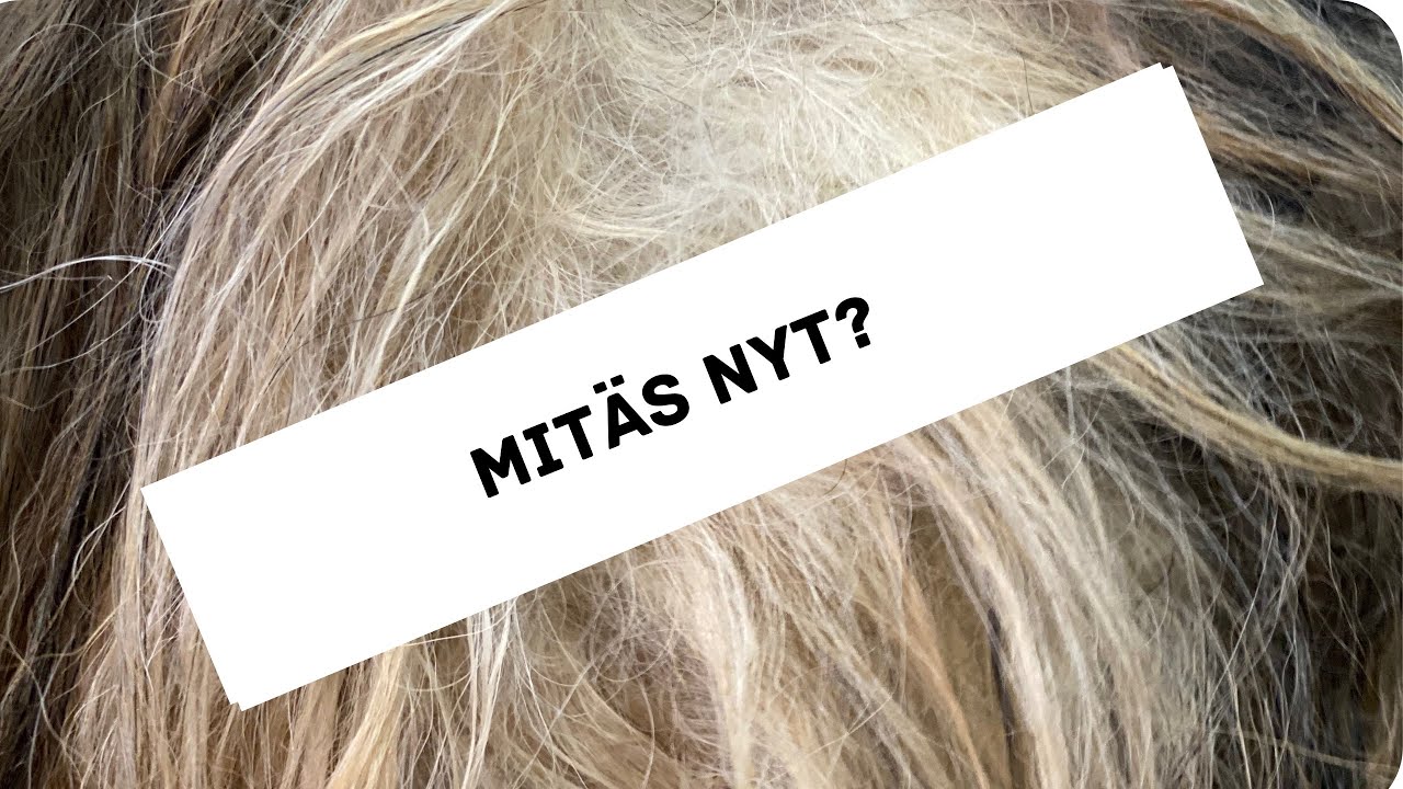 Takut!🤬 Miten selvitetään koiran turkista takku ilman saksia? Mallikoirana lhasa apso Sensei 🐾