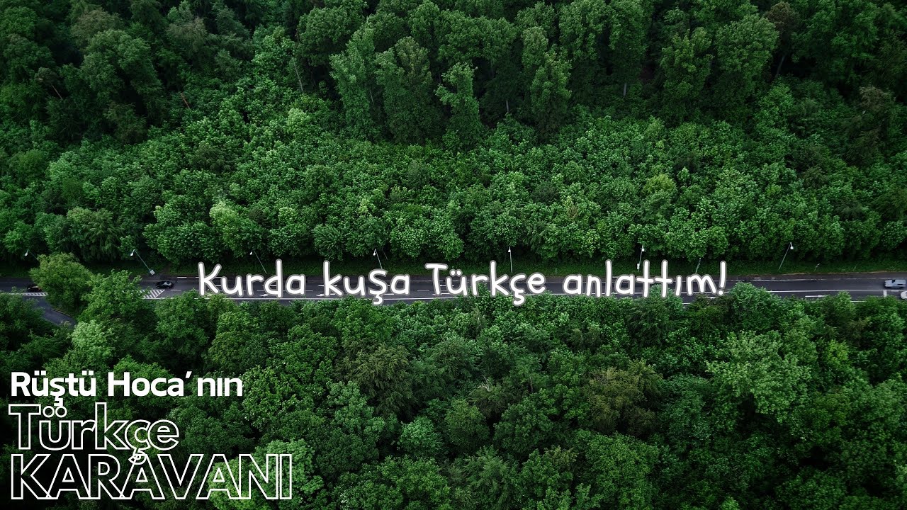 Kurda kuşa Türkçe anlattım! | TÜRKÇE KARAVANI