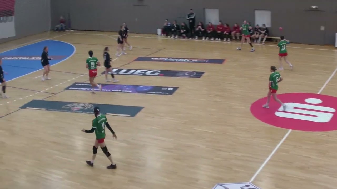 11. Spieltag in der Mitteldeutschen Oberliga Frauen - BSV Sachsen Zwickau gg. HSV Magdeburg