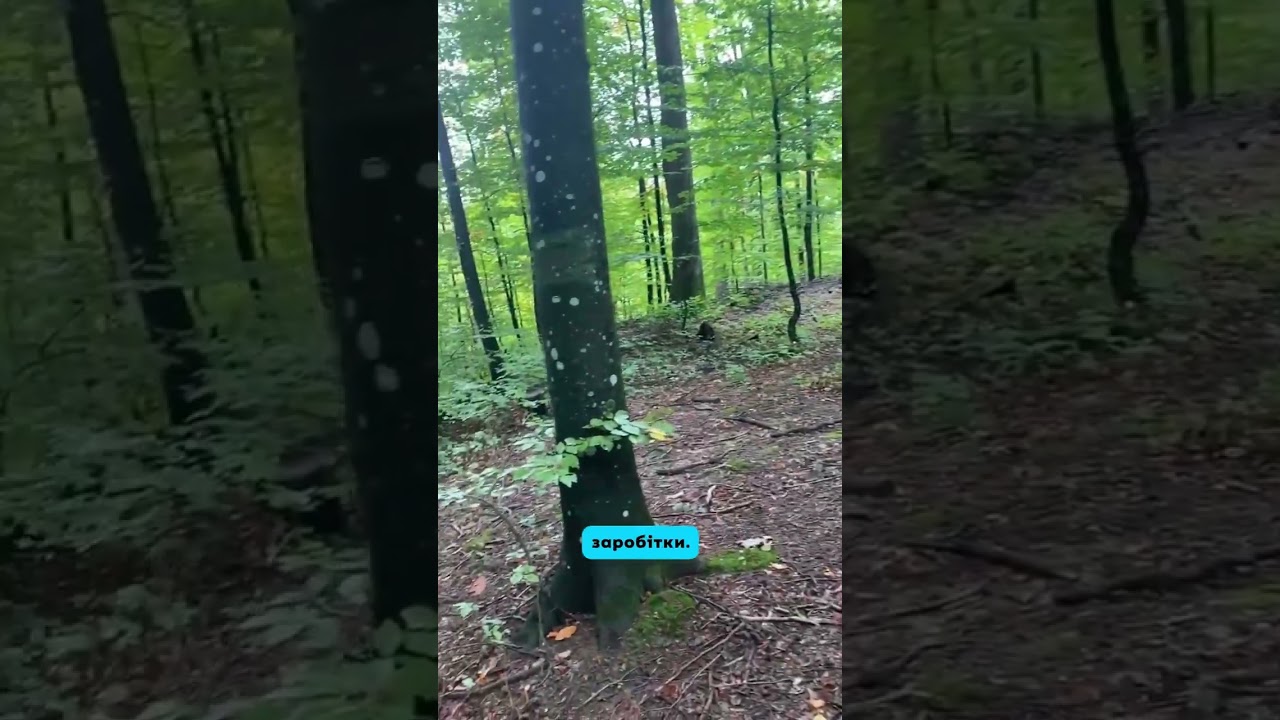Того й не попередила