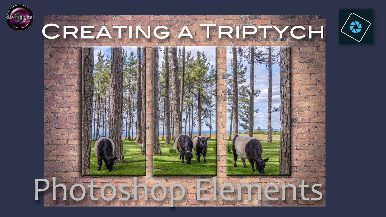 Triptych in Photoshop Elements