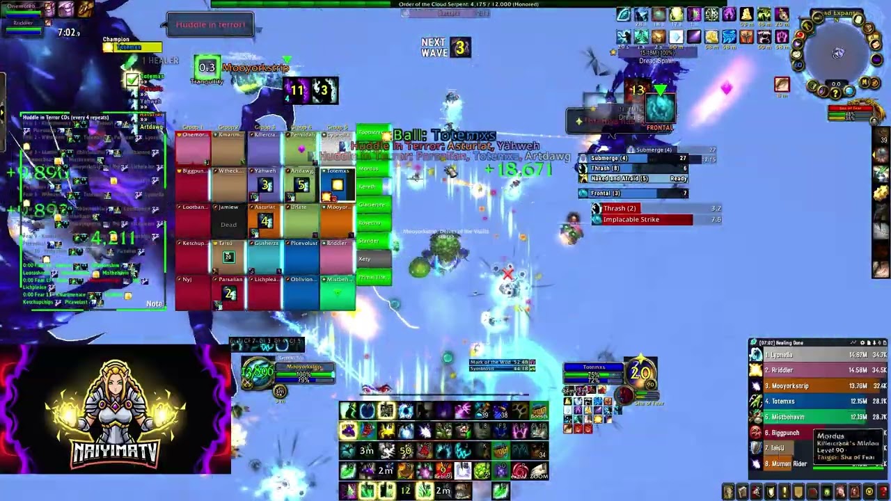 Blitz Vs. Heroic Sha of Fear (Resto Druid POV)