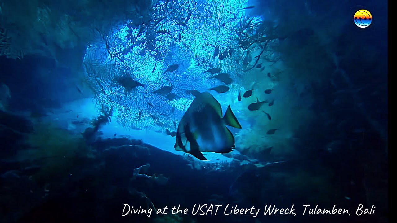 Diving in Bali, at the famous USAT Liberty Wreck, with Southern Dreams Diving Club