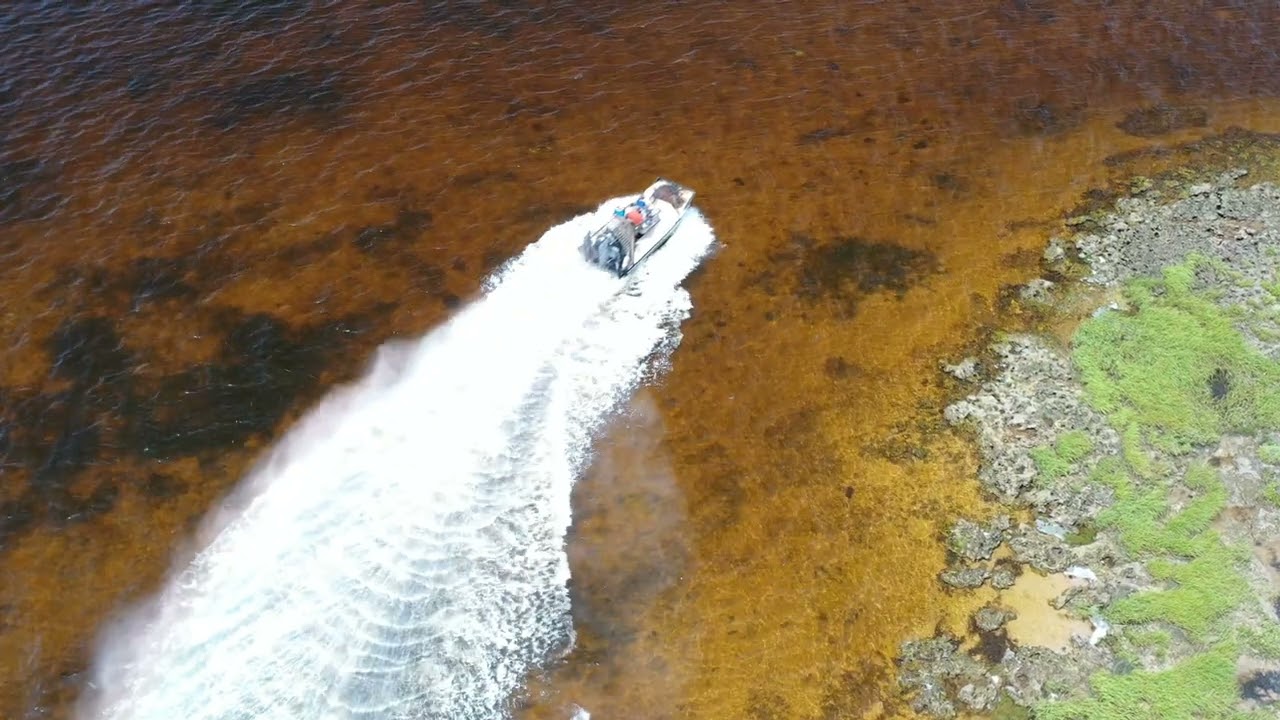 Gulf Coast Riding