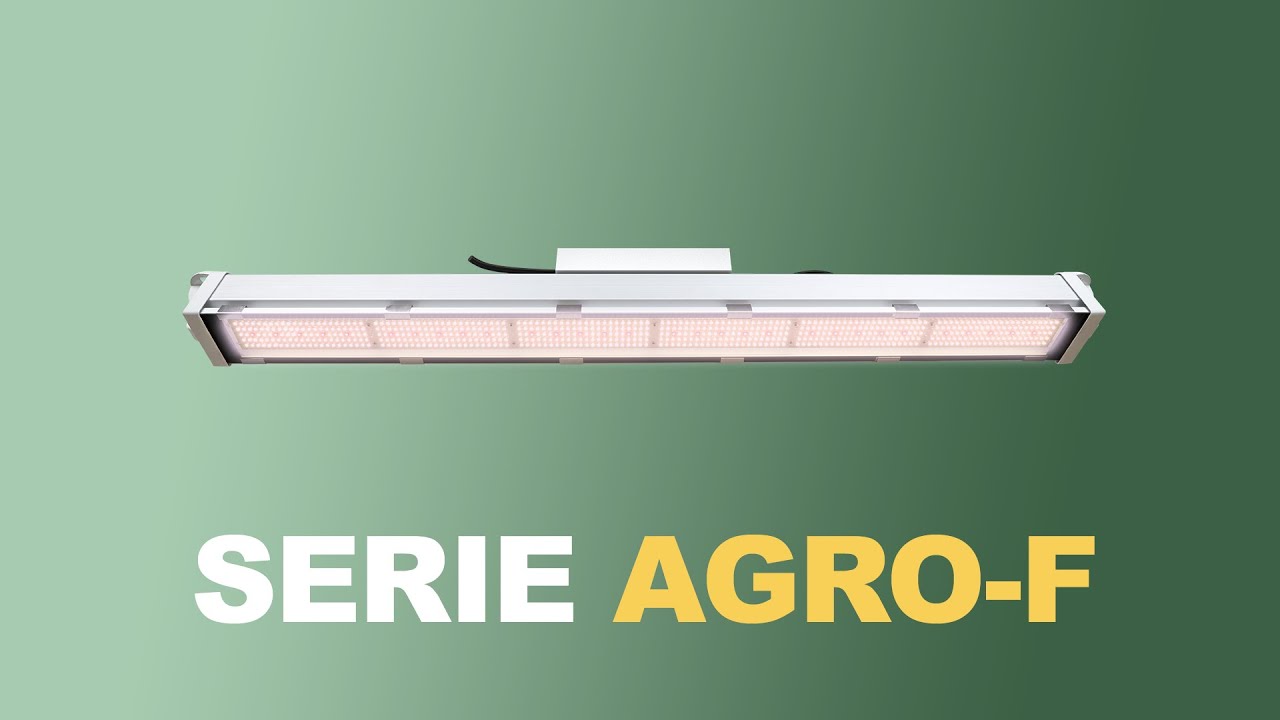 Proyector LED indoor serie AGRO-F para cultivo de Cannabis medicinal - Venalsol Smart Light