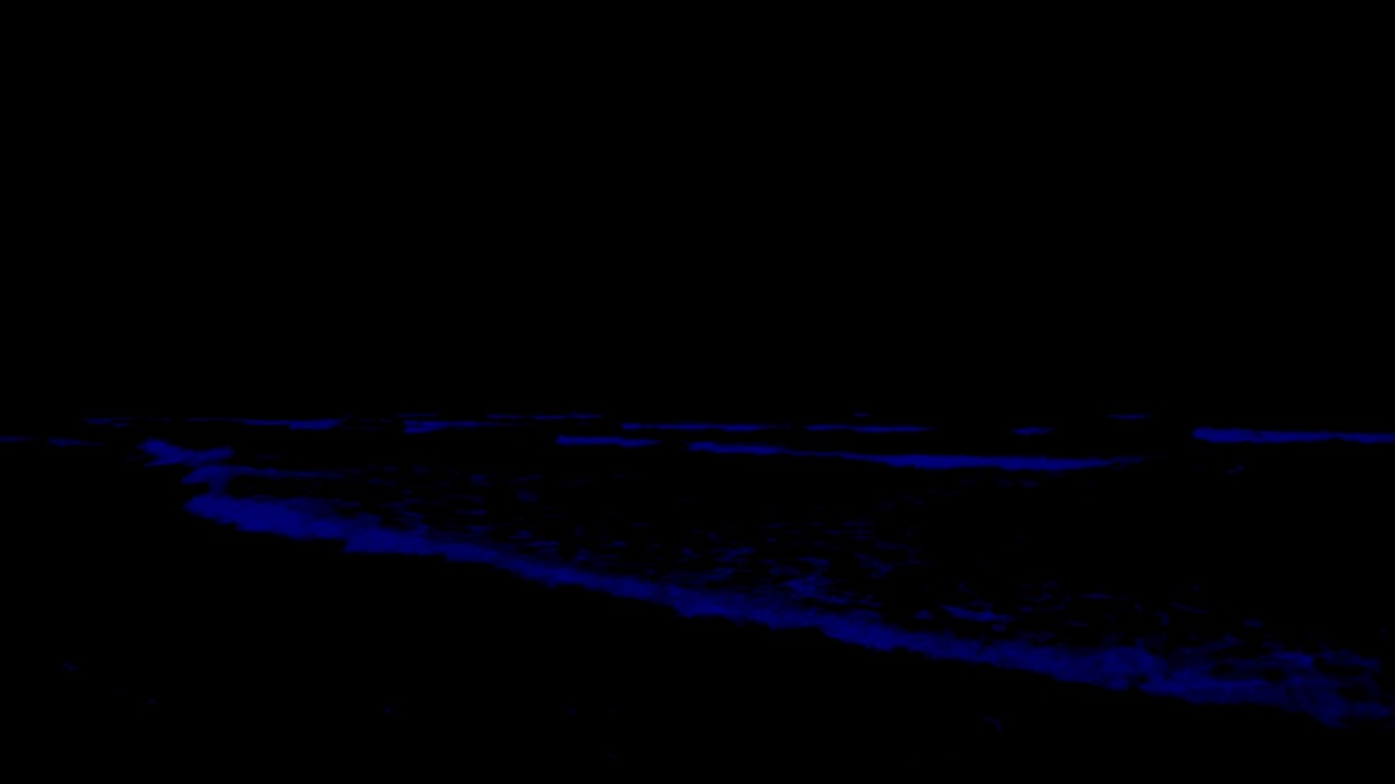 (No Ads) Deep Healing Music For Adhd • Melatonin Release Remove Negative Blockage • Insomnia Healing