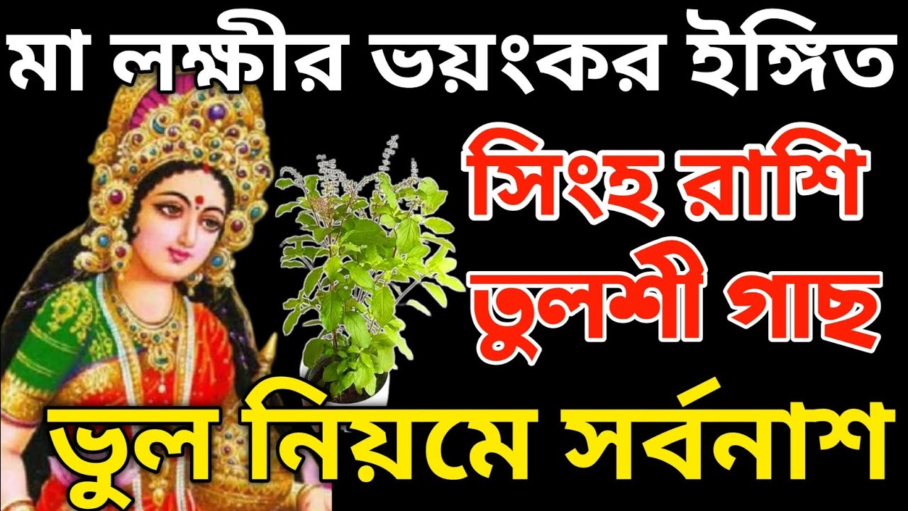 সোমবার ভুলেও তুলসীগাছের পাশে এই কাজ নয়! মা লক্ষ্মী ঘর ছাড়বেন | ২৩ ফেব্রুয়ারি সিংহ রাশি