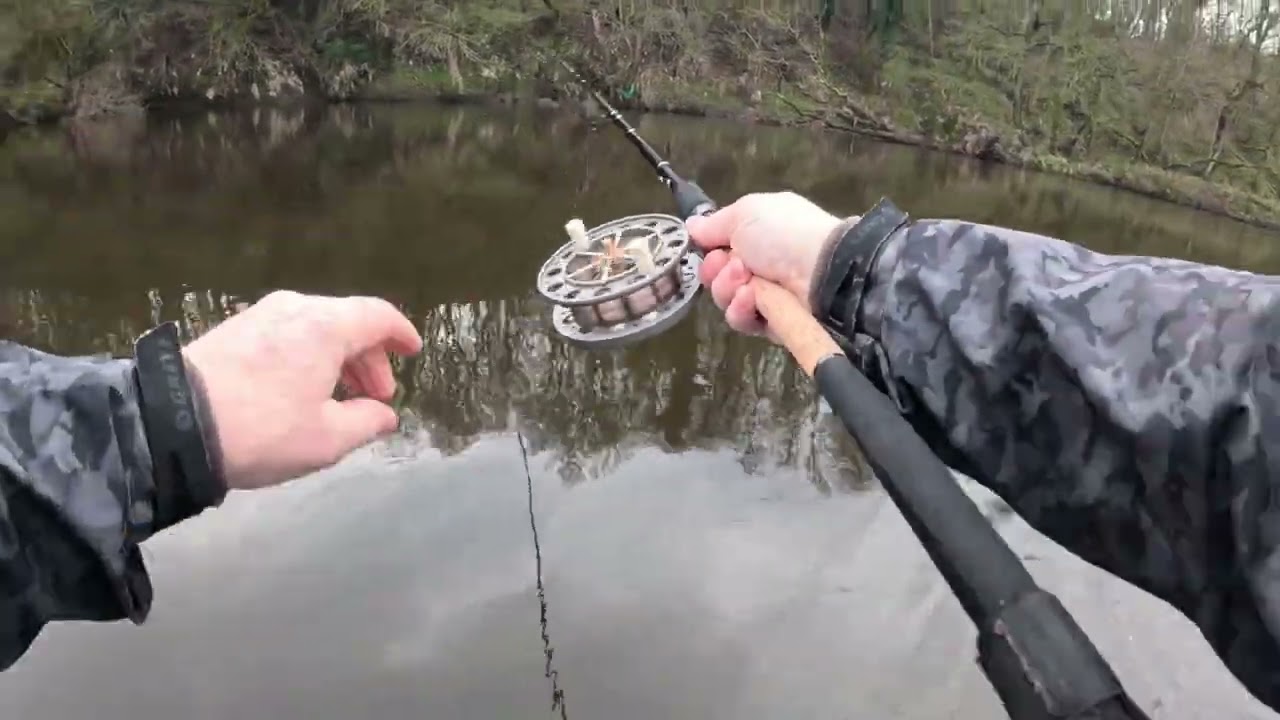 Catching My First Barbel Of 2026 On The Centrepin Reel And Float On A Large River.