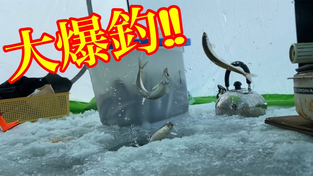 凍った川で無限に魚を釣った話【氷上穴釣り】