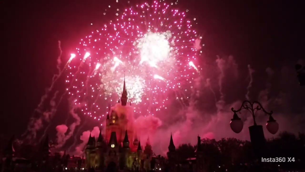Magic Kingdom fireworks on new years eve