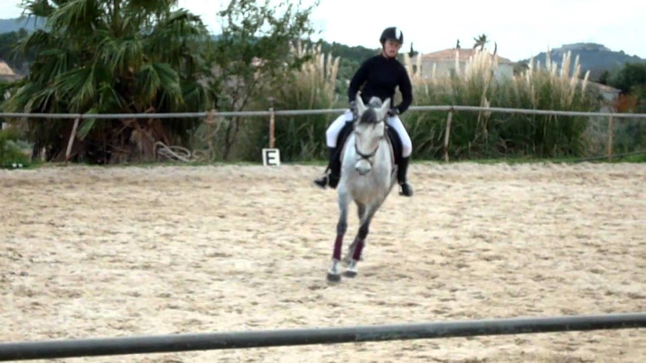 Galop 6 dressage