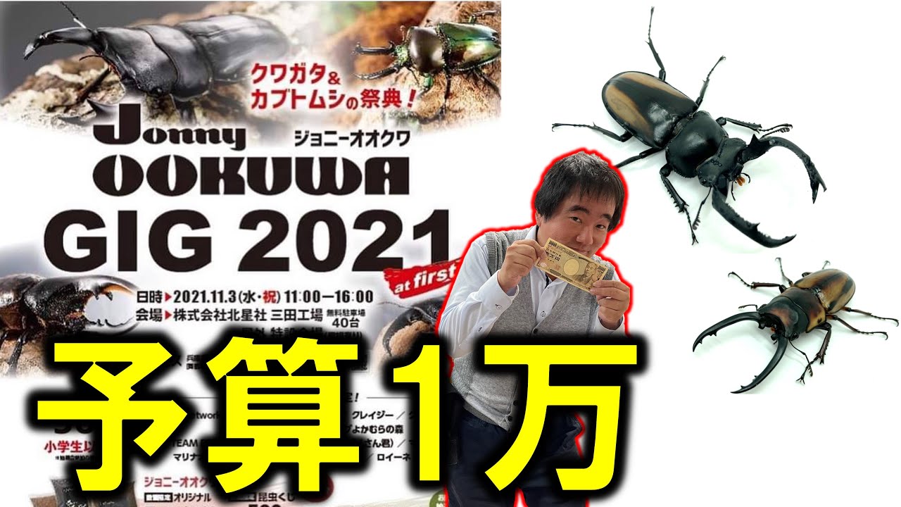【ご予算：１０,０００円】昆虫即売にいったらメッチャ求めていたクワカブに出会えた
