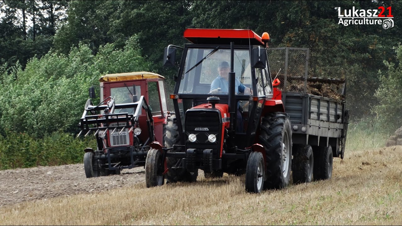 Jesień 2015 || Obornik i Talerzowanie || Ursus 3512, c330