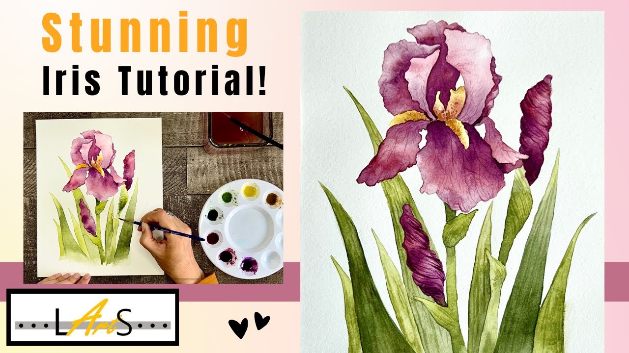 How to paint a stunning Iris! Painting Easy Flowers! Easy paintings watercolor! Water Paint!