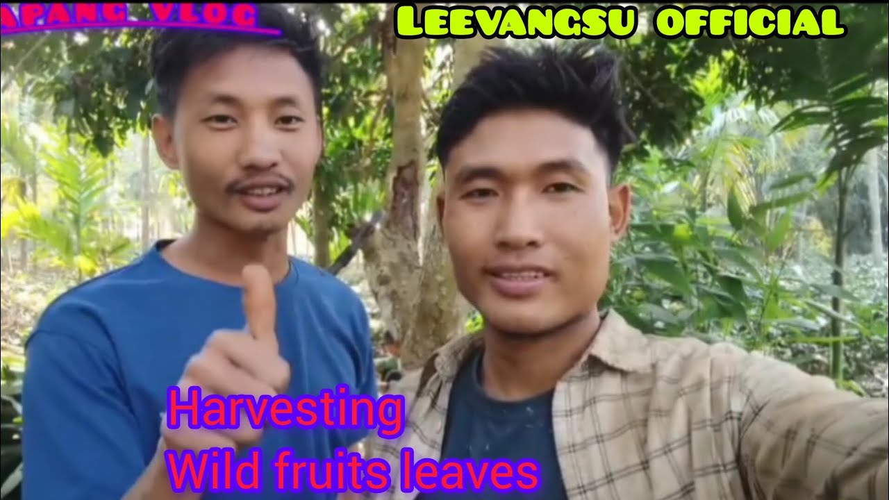 My friend went to work today ,and my father and i went jungle,,